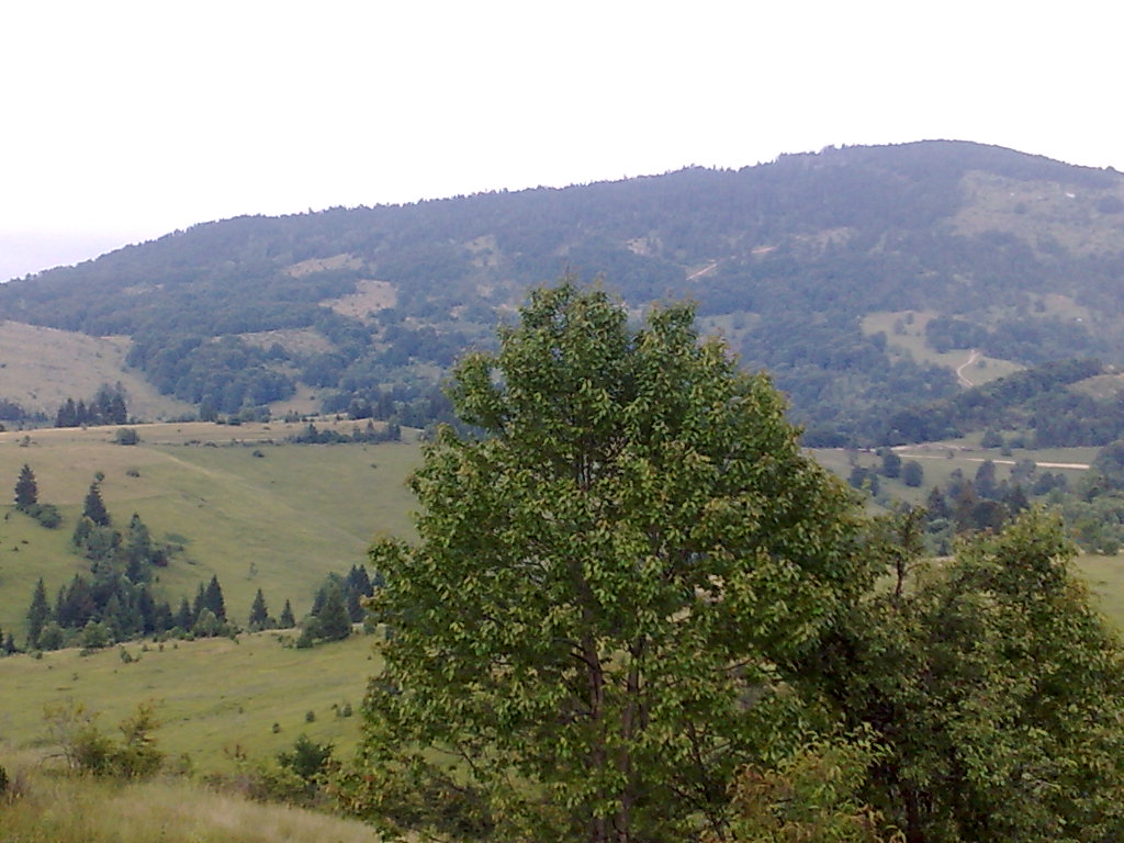 Lovačka sekcija Rasno